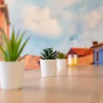 Color & Cosy Apartmán